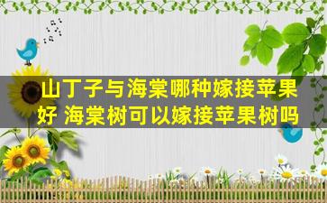 山丁子与海棠哪种嫁接苹果好 海棠树可以嫁接苹果树吗